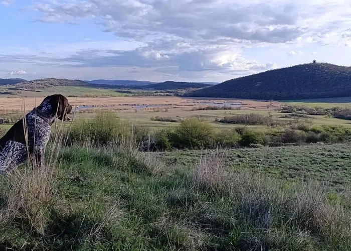 Apartment By Interhome *